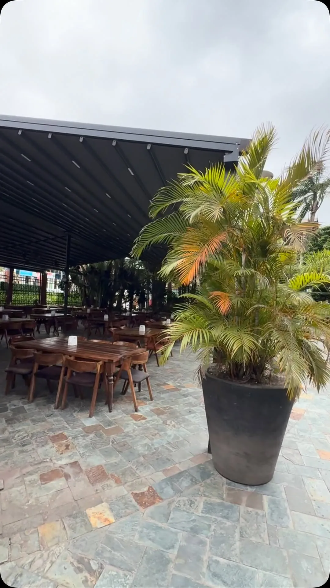 Bosphorus Restaurant and Cafe